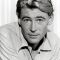 Peter O'Toole Photo