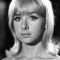 Angela Douglas Photo