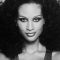 Beverly Johnson Photo