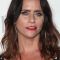 Amy Landecker Photo