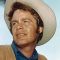 Doug McClure Photo