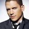Wentworth Miller Photo