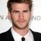 Liam Hemsworth Photo