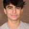 Neel Sethi Photo