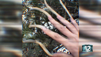 101 Body Shocks (2020) download