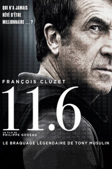 11.6 (2013) download