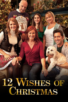 12 Wishes of Christmas (2011) download