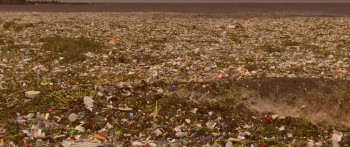 2073 (2024) download