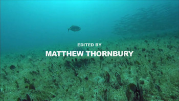 30,000 Leagues Under the Sea (2007) download