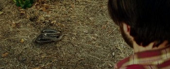 3 Nights in the Desert (2014) download