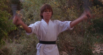 3 Ninjas (1992) download