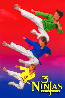 3 Ninjas Kick Back (1994) download
