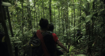 40 días perdidos en la Selva (2024) download