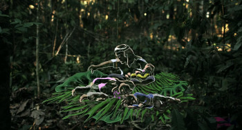 40 días perdidos en la Selva (2024) download