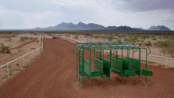 50 to 1 (2014) download