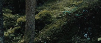 Autumn Blood (2013) download