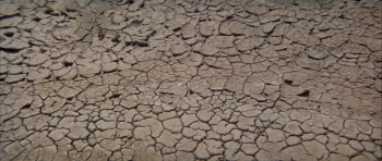 Beneath the Planet of the Apes (1970) download