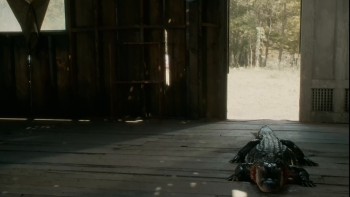 Catch Hell (2014) download