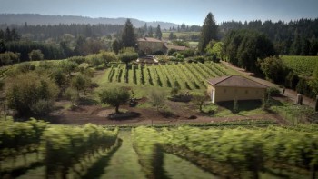 House of Last Things (2013) download