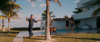 Into the Blue (2005) download