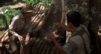 Missing in Action 2: The Beginning (1985) download