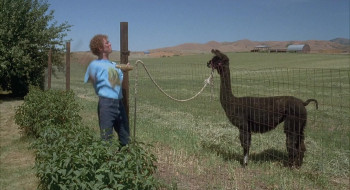 Napoleon Dynamite (2004) download