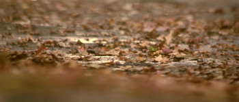 Remember the Titans (2000) download