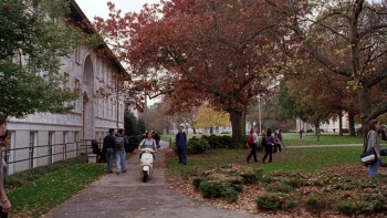 Road Trip (2000) download