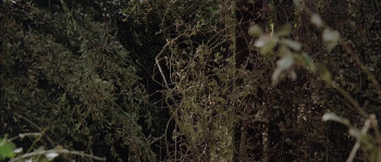 The Sandlot (1993) download