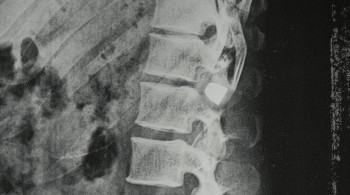 A Beautiful Place to Die: A Martha's Vineyard Mystery (2020) download