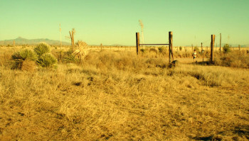 A Boy Called Sailboat (2018) download