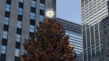 A Christmas Frequency (2023) download