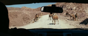 A Dark Reflection (2015) download