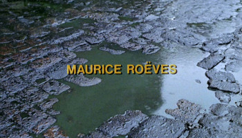 A Day at the Beach (1970) download