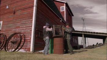 A Dog Named Christmas (2009) download