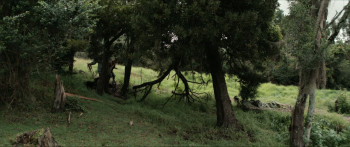 A Father's Miracle (2026) download