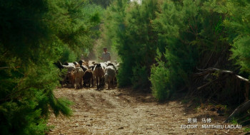 A First Farewell (2018) download