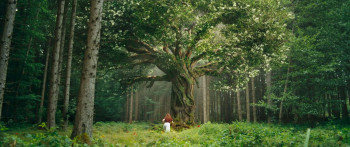 A Girl Named Willow (2025) download