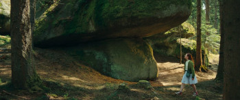 A Girl Named Willow (2025) download