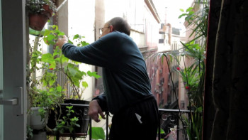 A la puta strasse. Not Just a Barcelona (2015) download