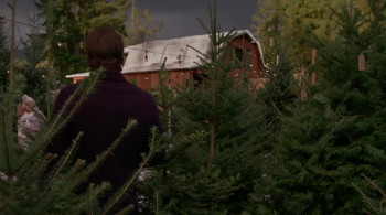 A Lot Like Christmas (0000) download