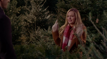 A Lot Like Christmas (0000) download