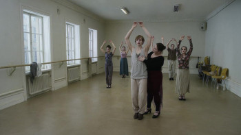 A Pigeon Sat on a Branch Reflecting on Existence (2014) download