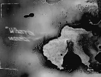 A Reckless Rover (1918) download