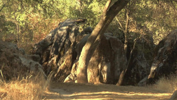 A River of Skulls (2010) download