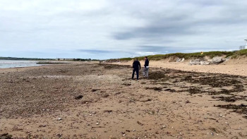 A Story of Friendship (2025) download