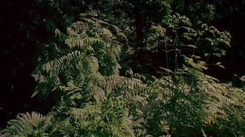 A Technicolor Dream (2008) download