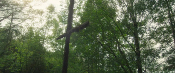 A Tiger in Paradise (2023) download