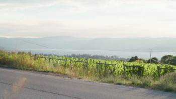 A Town Called Love (2023) download