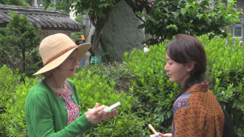 A Traveler's Needs (2024) download